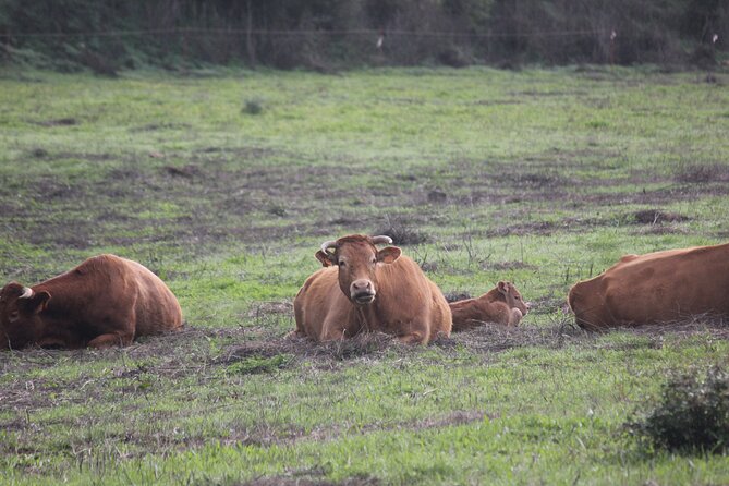 Algarve - The best views from Alvor to Ferragudo by ATV - Scenic Stops and Photo Opportunities on the Trail
