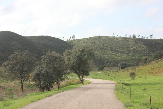 Algarve - The best views from Alvor to Ferragudo by ATV - Ease of Driving the Quad Bikes for All Skill Levels