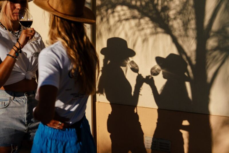 Algarve: Vineyard Tour & Premium Wine Tasting in Silves - Key Points