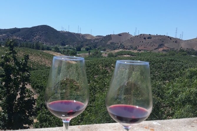 Algarve wine tour and farmer's lunch at wine estate - Algarve Wine Tour and Farmers Lunch in Portimão