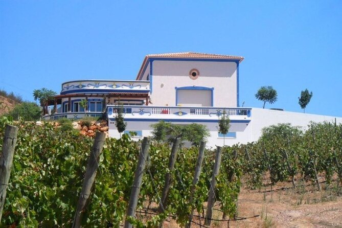 Algarve wine tour and farmer's lunch at wine estate - Farmers Lunch at Morgado do Quintão Estate