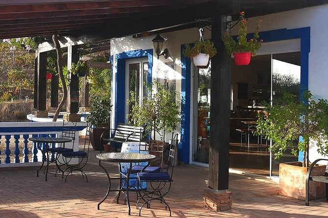 Algarve wine tour and farmer's lunch at wine estate - Visiting Quinta do Morgado da Torre for a Second Wine Tour