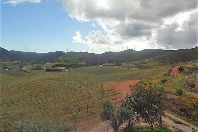Algarve wine tour and farmer's lunch at wine estate - Who Will Appreciate This Algarve Wine Tour?