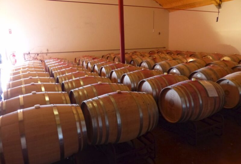 Algarve wine tour and mountain top trip with lunch or dinner - Starting Point and Transportation in Portimão