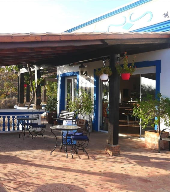 Algarve Wine Tour of two estates guided by wine expert - Understanding Wine Tasting Techniques