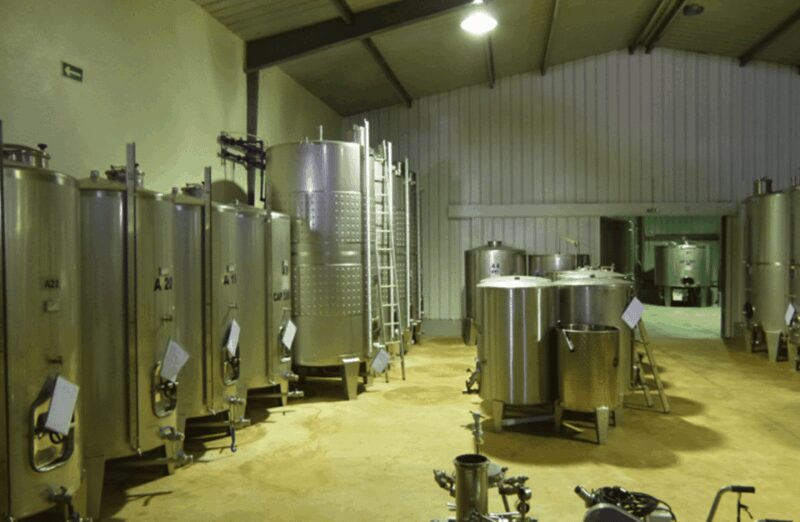 Algarve Wine Tour of two estates guided by wine expert - Who Will Enjoy This Tour Most