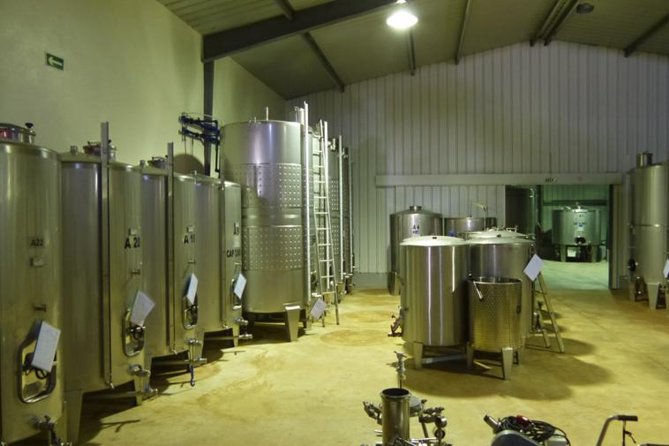 Algarve Wine Tour of Two Wine Estates - Starting Point and Transportation Convenience in Portimao