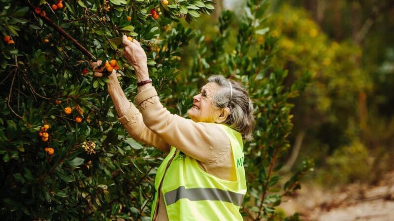 ALGARVE'S ARBUTUS BERRY TRAIL - Key Points