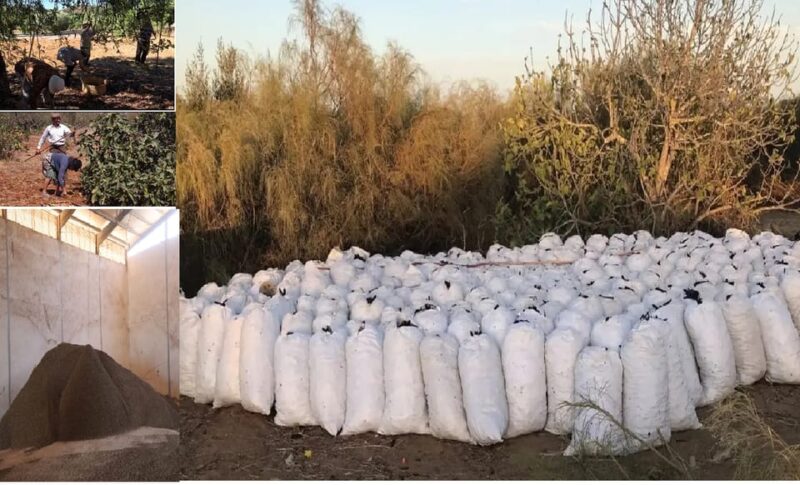 ALGARVE'S CAROB TRAIL - Discover Algarve’s Carob Heritage with a 4-Hour Private Tour