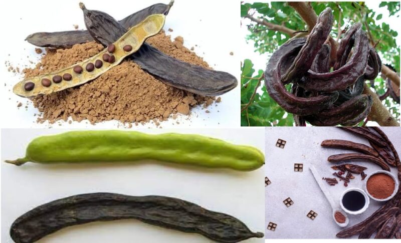 ALGARVE'S CAROB TRAIL - Key Points