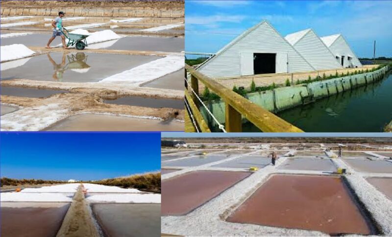 ALGARVE'S SALT TRAIL - Discovering the Cultural Significance of Castro Marim Salt Flats