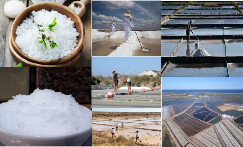 ALGARVE'S SALT TRAIL - Tasting Artisanal Salts and Algarve Culinary Delights
