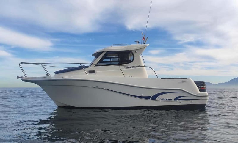 Algeciras: Dolphin and whale watching in reduced groups - Spotting the Dolphins: Common, Striped, and Bottlenose