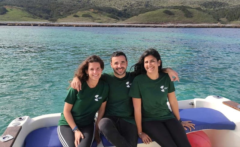 Algeciras: Dolphin and whale watching in reduced groups - Watching for the Fin Whale During Migration Seasons