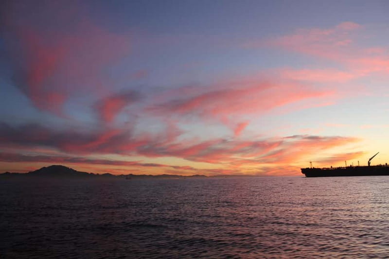 Algeciras: Dolphin and whale watching in reduced groups - What to Bring and What to Expect