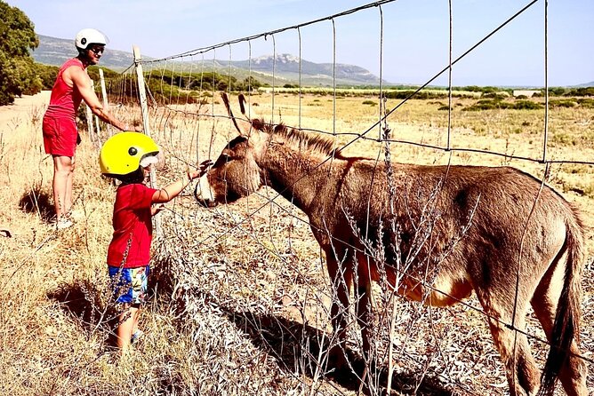 Alghero: 4-hour quad tour - Practical Details: Booking, Costs, and What to Bring