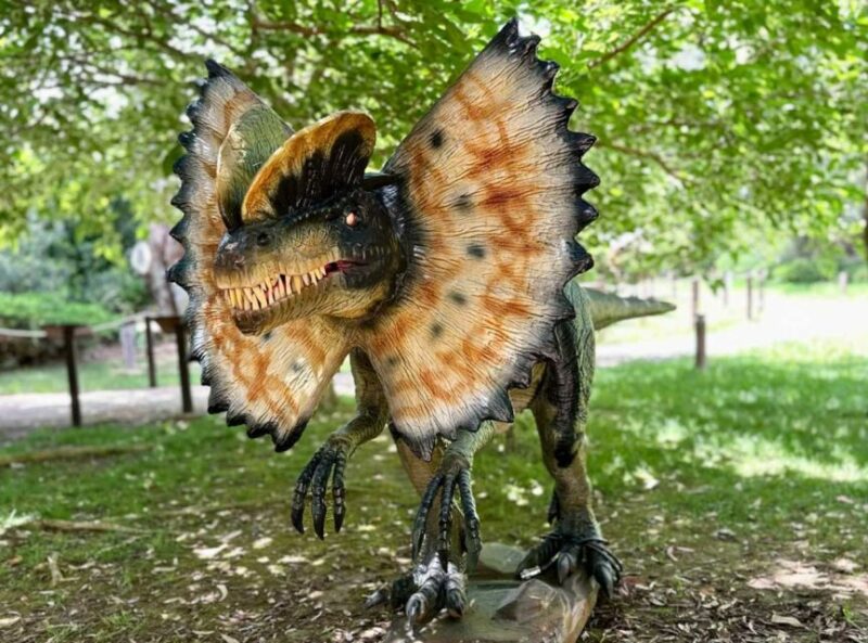 Alghero: Discover dinosaurs in Porto Conte Park - Exploring Sardinia’s Paleoenvironment and Archaeology