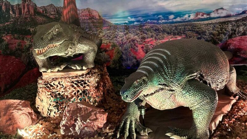 Alghero: Discover dinosaurs in Porto Conte Park - Park Attractions and Additional Highlights