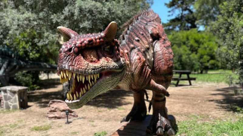 Alghero: Discover dinosaurs in Porto Conte Park - Who Will Enjoy This Tour?