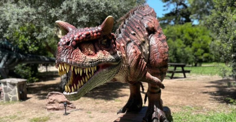 Alghero: Discover dinosaurs in Porto Conte Park - The Verdict for the Dinosaur Enthusiast and Family Visitor