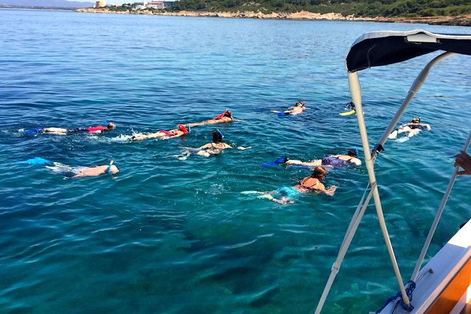 Alghero - Dolphin Watching and Guided Snorkeling (summer tour) - Who Will Enjoy This Tour Most