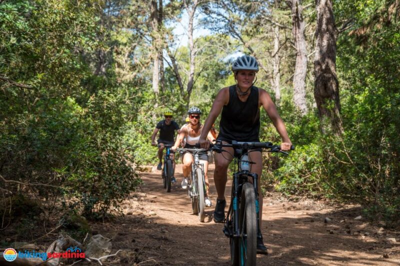 Alghero: E-bike tour inside the Natural Park of Porto Conte - Beach Stops: Cala Bramassa, Lazzaretto, and Le Bombarde