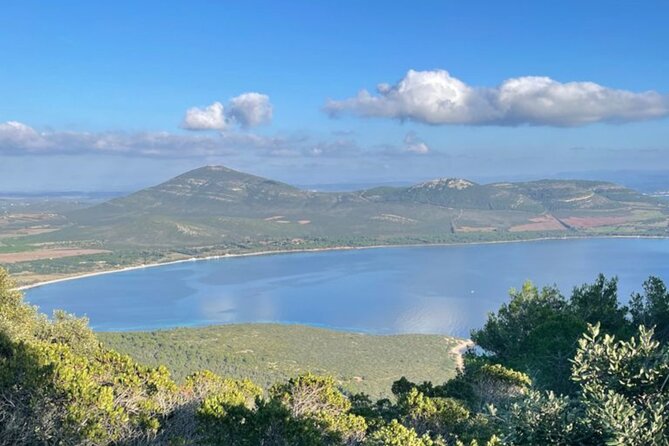 Alghero Ebike Tour In Porto Conte Park - Booking Tips and Practical Notes