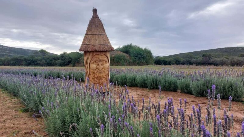 Alghero: Guardia Grande Bee Garden with Guided Tour - Why This Tour Stands Out in Sardinia’s Ecotourism