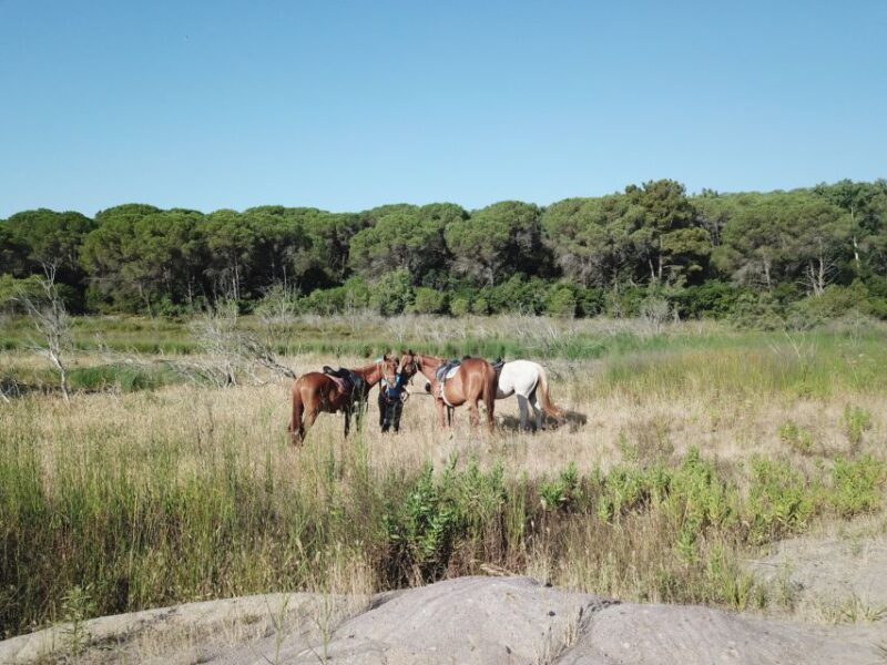 Alghero: Guided Horseback Ride at Lake Baratz & Porto Ferro - The Scenic Charm of Lake Baratz, Sardinia’s Unique Freshwater Lake