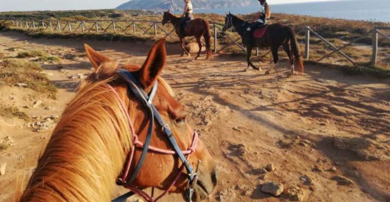 Alghero: Guided Horseback Ride at Lake Baratz & Porto Ferro - Discovering Porto Ferro Beach and Its Sand Dunes