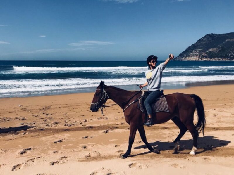 Alghero: Guided Horseback Ride at Lake Baratz & Porto Ferro - Practical Details: Logistics and Group Experience
