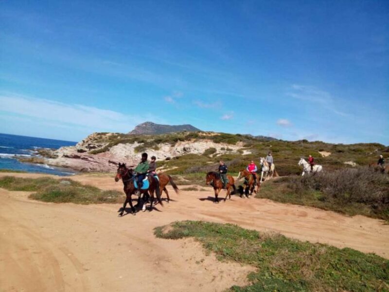 Alghero: Guided Horseback Ride at Lake Baratz & Porto Ferro - Meet the Guides and Their Passion for Horses