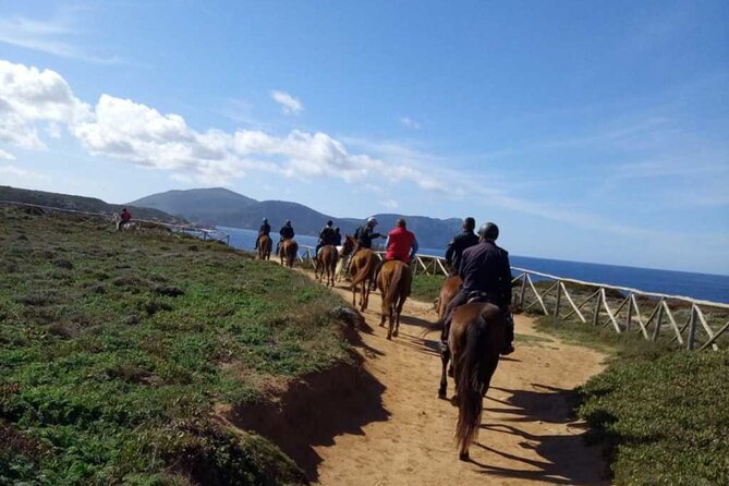 Alghero: horseback ride in Porto Ferro and Lake Baratz - Exciting horseback riding experience in Sardinia for all skill levels