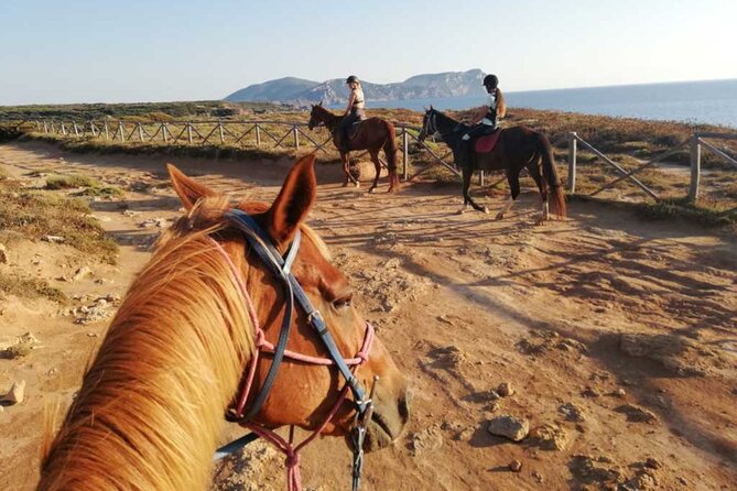 Alghero: horseback ride in Porto Ferro and Lake Baratz - Guides and Support Staff: Friendly and Attentive