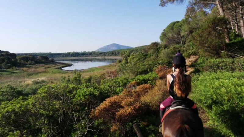 Alghero: Lake Baratz Guided Horseback Ride - Key Points