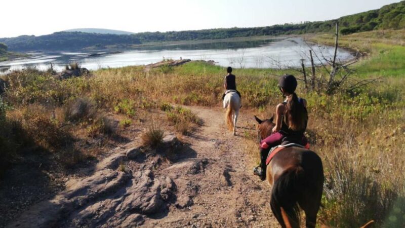 Alghero: Lake Baratz Guided Horseback Ride - Exploring the Pine Forest and Mediterranean Vegetation