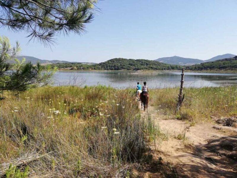 Alghero: Lake Baratz Guided Horseback Ride - Logistics: Meeting Point and Group Size