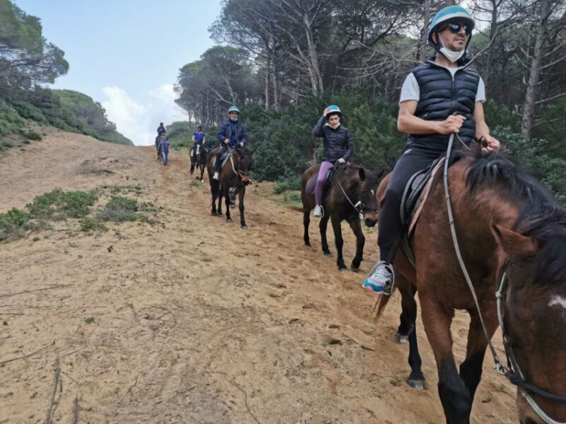 Alghero: Lake Baratz Guided Horseback Ride - Final Thoughts on the Lake Baratz Horseback Ride