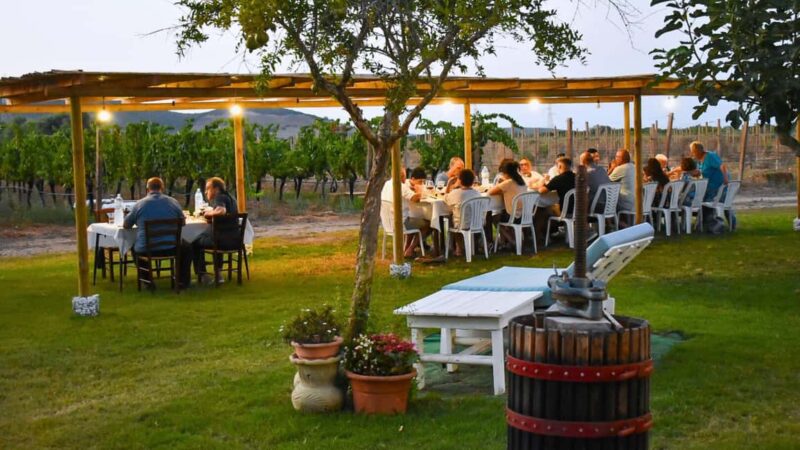 Alghero: lunch or dinner in the vineyard - Key Points