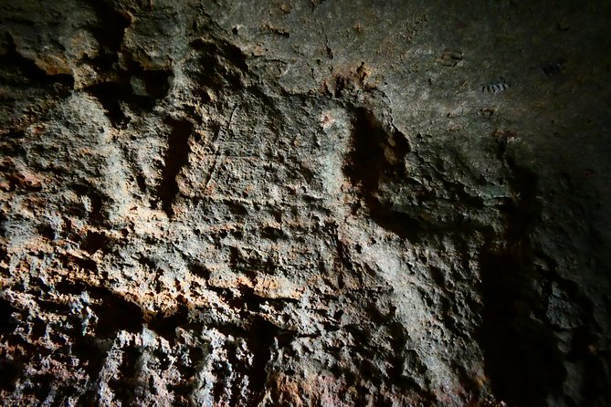 Alghero: private archaeological tour (TRANSFER INCLUDED) with local guide - Accessibility and Suitability for Travelers