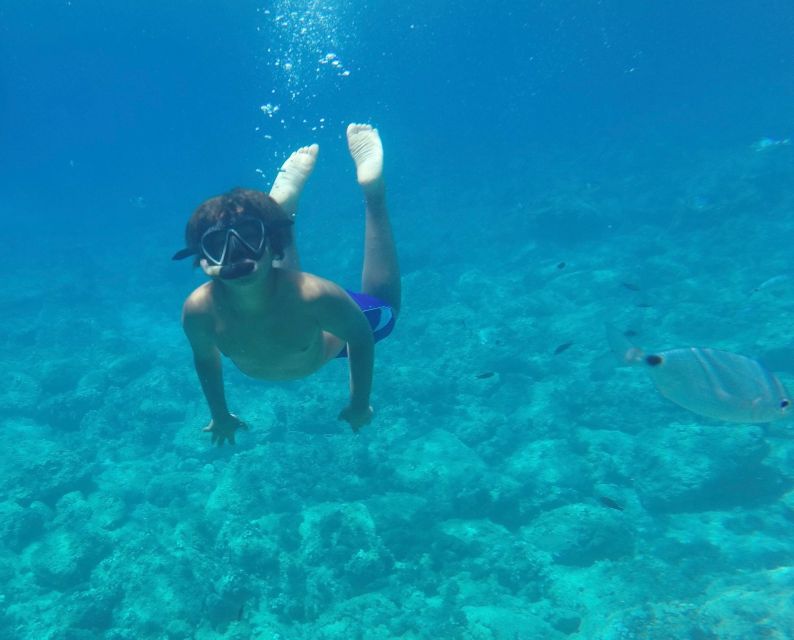 Alghero: Snorkeling Boat Tour in Porto Conte and Capo Caccia - Practical Details and What to Bring