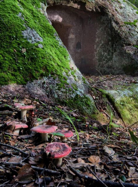 Alghero: trekking in the Porto Conte park - Practical Details and Preparation