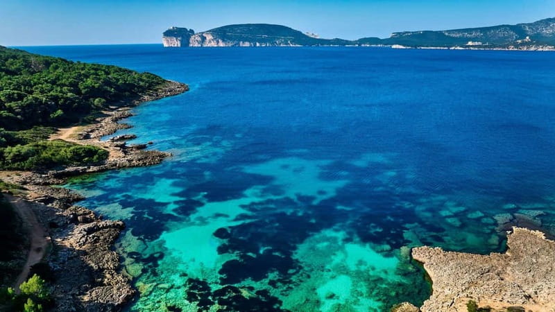 Alghero: trekking in the Porto Conte park - Valuable Experience for Active Nature Lovers
