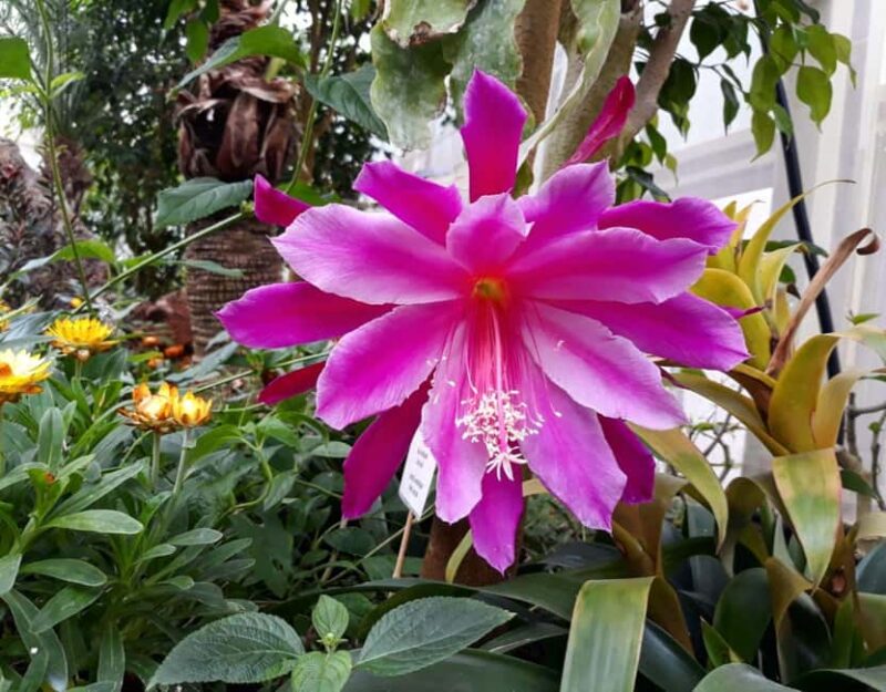 Alghero: Visit at the Butterfly House - A Family-Friendly Experience with Educational Value