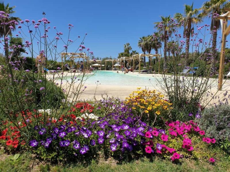 Alghero: Visit at the Butterfly House - Final Thoughts: Who Will Enjoy the Butterfly House?