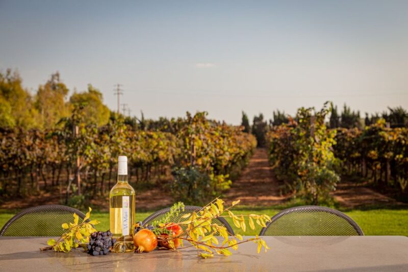 Alghero: Wine and Olive Oil Tasting at a Local Farm - Practical Details: Accessibility, Meeting Point, and Local Transport