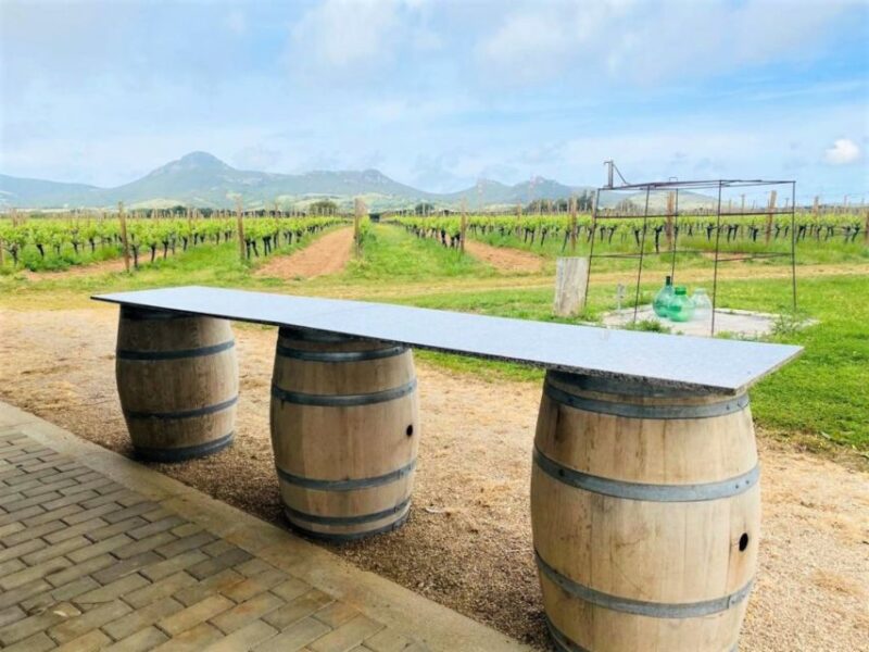 Alghero: wine tasting w/ local aperitif in the vineyard - Savoring Wines in a Tranquil Natural Setting