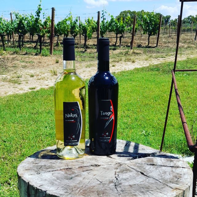 Alghero: wine tasting w/ local aperitif in the vineyard - Who Will Enjoy This Experience Most?