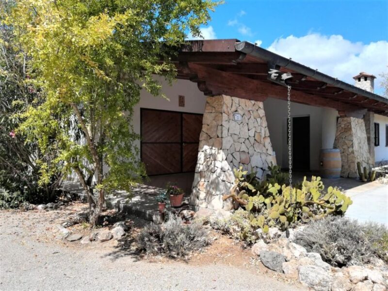 Alghero: wine tasting w/ local aperitif in the vineyard - Final Thoughts on the Vineyard Aperitif Tour