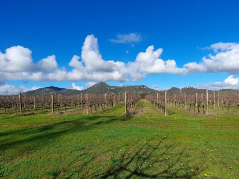 Alghero: wine tasting w/ local aperitif in the vineyard - Frequently Asked Questions
